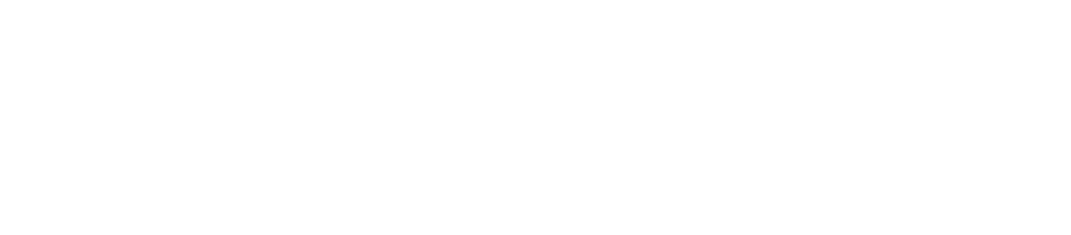 Momax Global